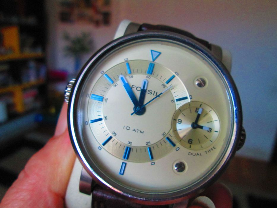 ceas barbatesc Fossil