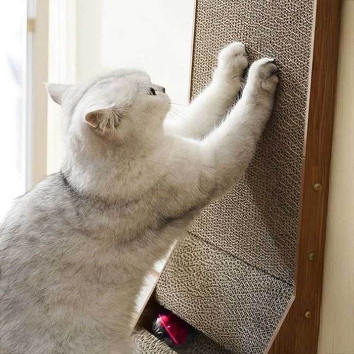 Чесалка / Драскало ъглово с топка, дъска за драскане от котка