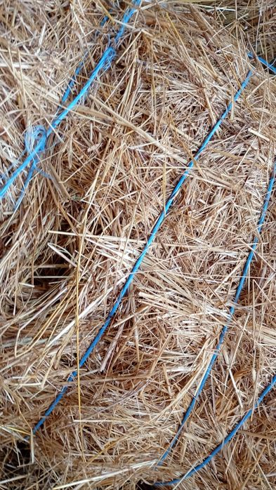 Бали сено 25-30кг