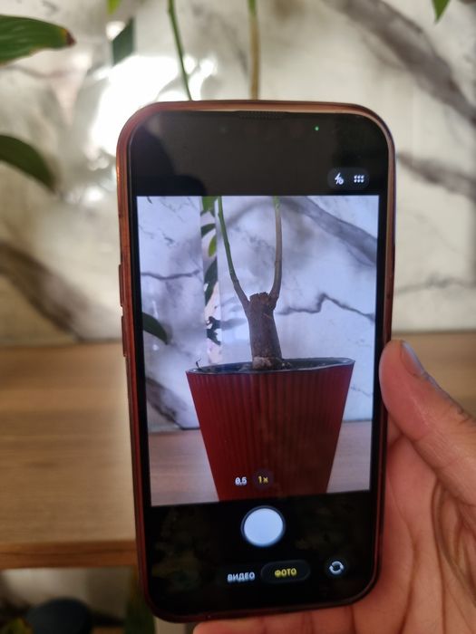 IPhone 13 pink 128gb/69%