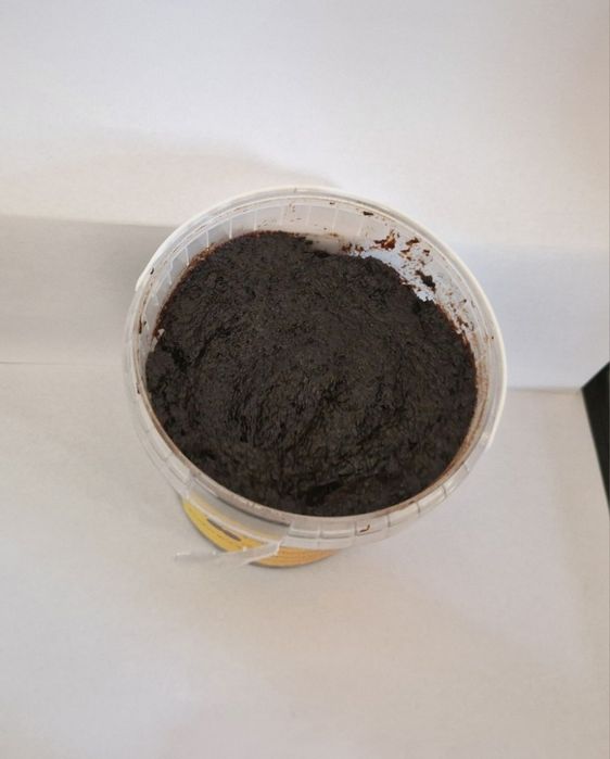 Magiun de prune românești