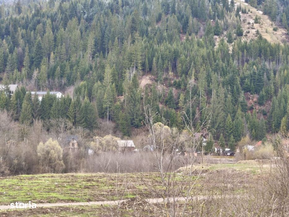 Teren intravilan, 22600mp, zona Manastirea Sucevita