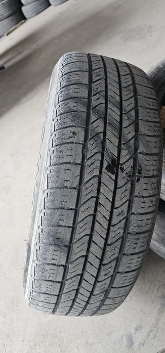 Elegant диска 14 лик