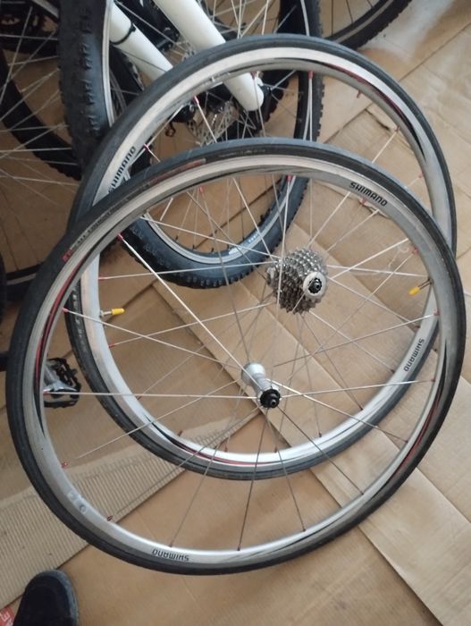 roti cursiera Shimano