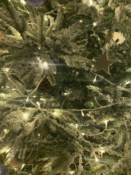 Елка в хорошем состоянии