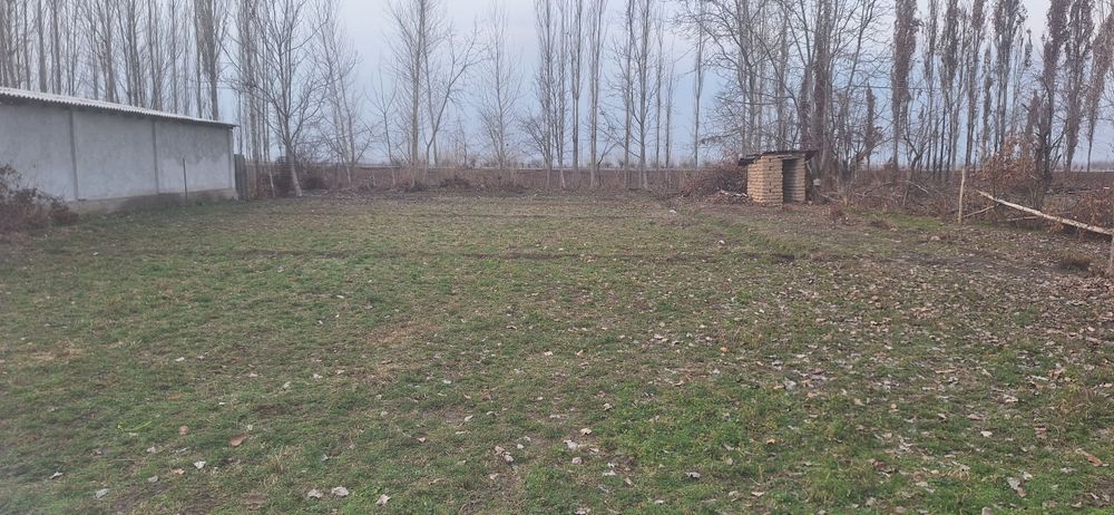 Срочно ер сотилади, 5 соток Янги Тошкент худуди, Жололтепа махалласи