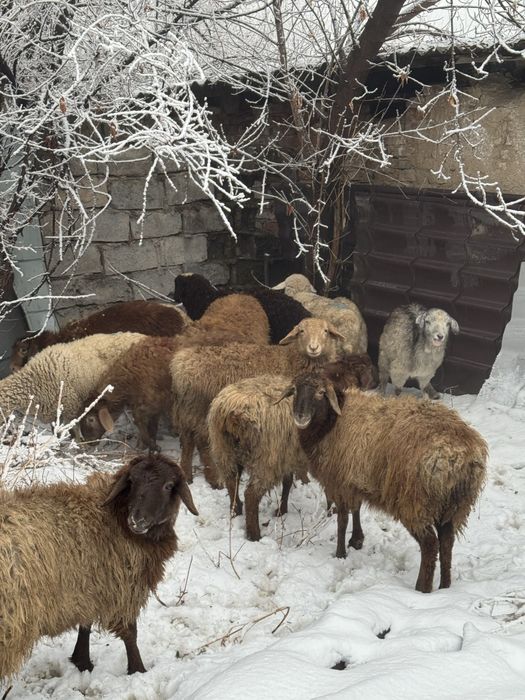 Сатылады срочно!