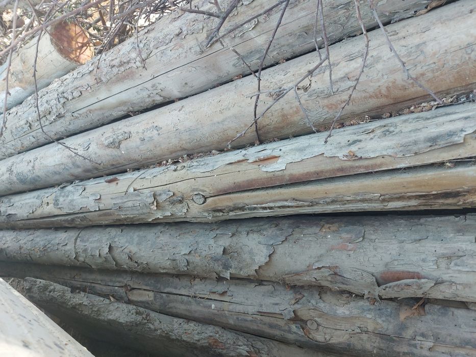 Болор сотилади  4 методик