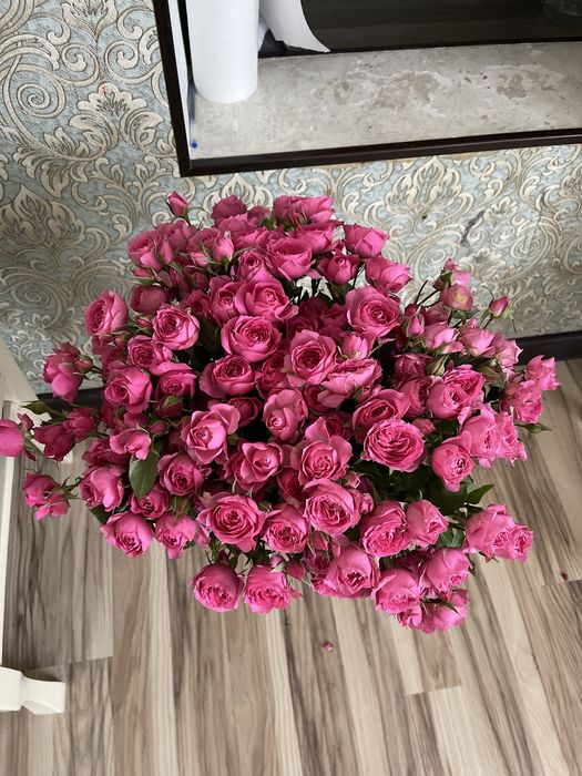 продам срочно цветы