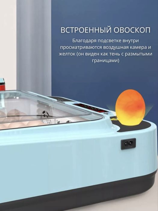Автомат Инкубатор для яиц 12/24/36/64