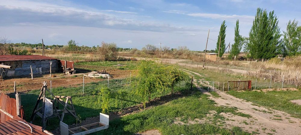 Продам дом и землю