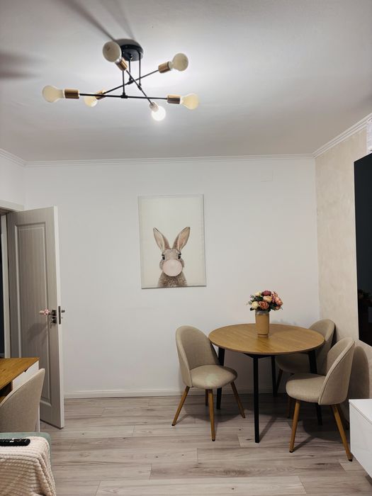 Apartament 3 dormitoare Ostroveni