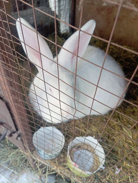 Продам или объменяю