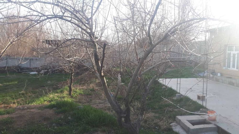 Қибрай, Нуробод Махалла УЧАСТКА СРОЧНО СОТИЛАДИ !!!