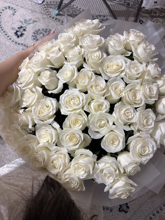 Белые розы 51 шт