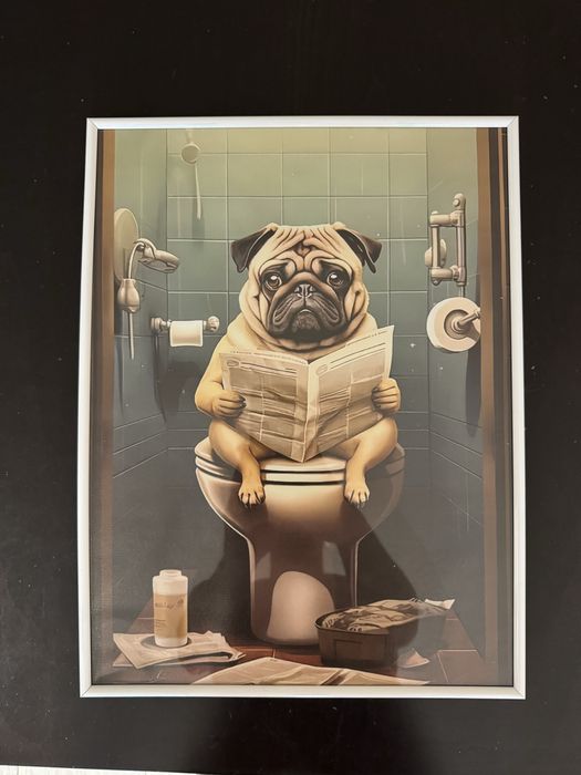 Картини мопс и други