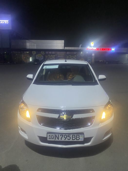 COBALT 2023 краска тоза 100%