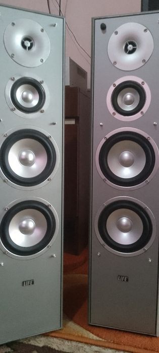 Тонколони елф много запазени и много добър зук