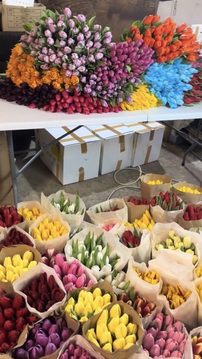 Тюльпаны в розницу