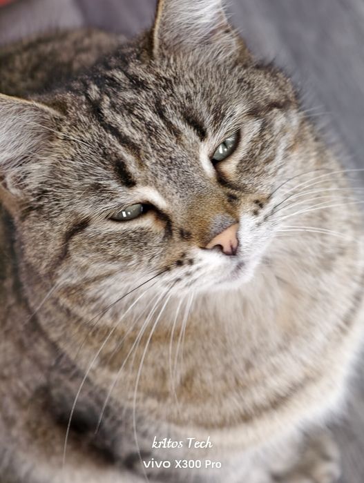 Vivo x300 pro 16/512 gb