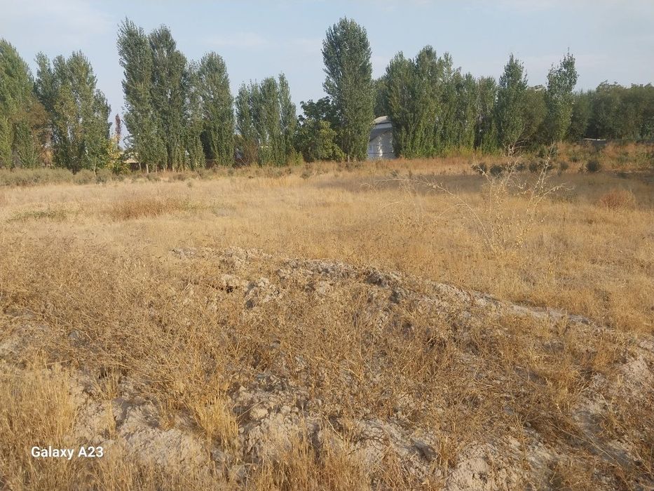 Арзонга ер участка сотилвотти!!!