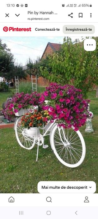 Bicicletă pentru decor plante