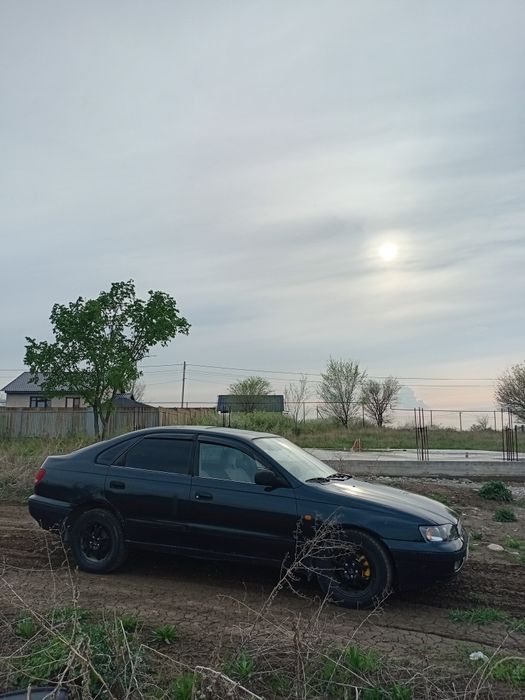 Карина е механика 1.6