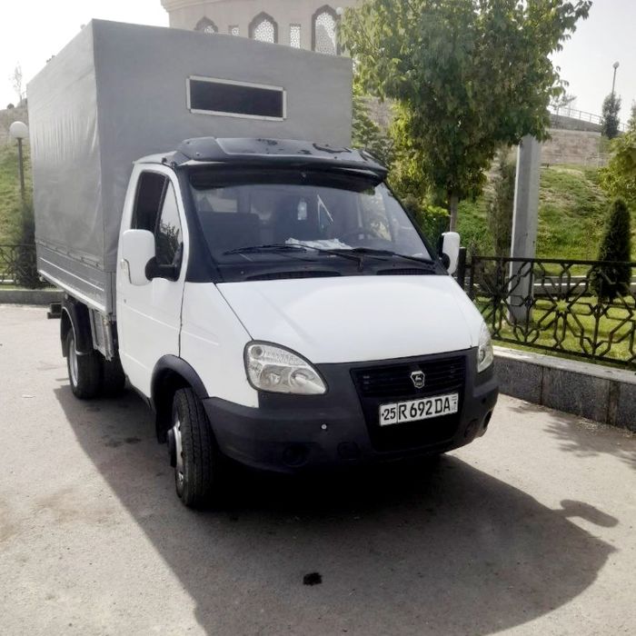 Gazel yili 2007-yil mator sotka