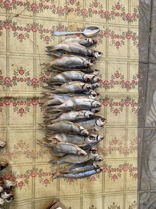 Вобла кепкен балық