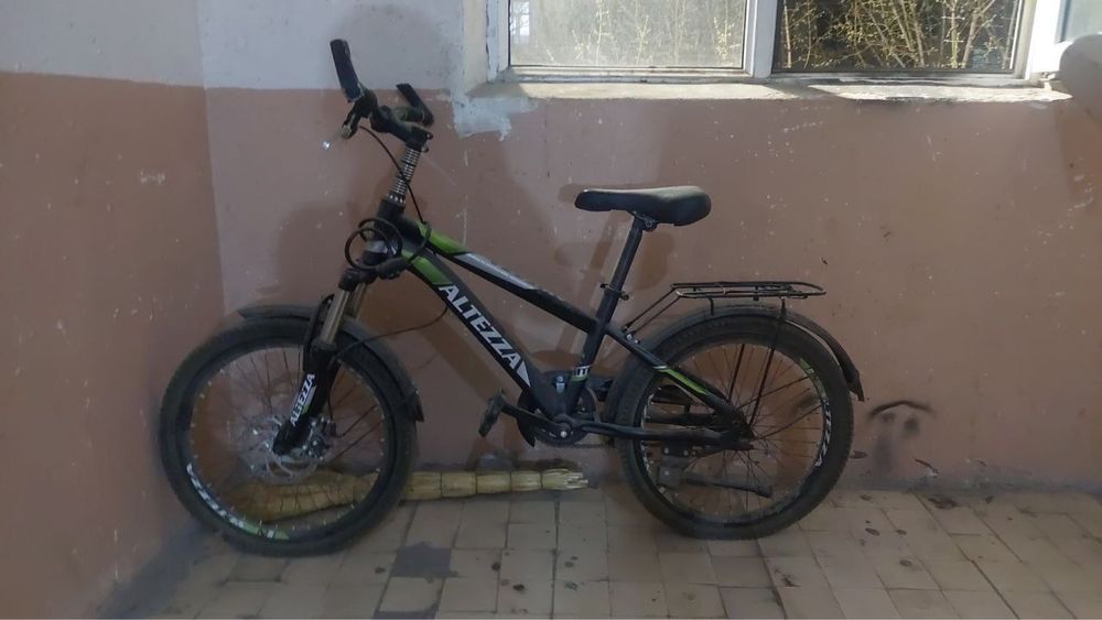 Velik sotladi kotta