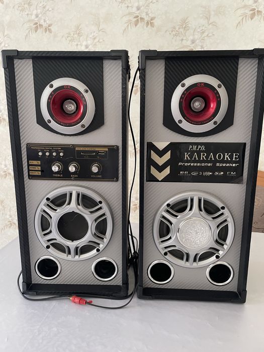 Усилитель колонки парные с караоке