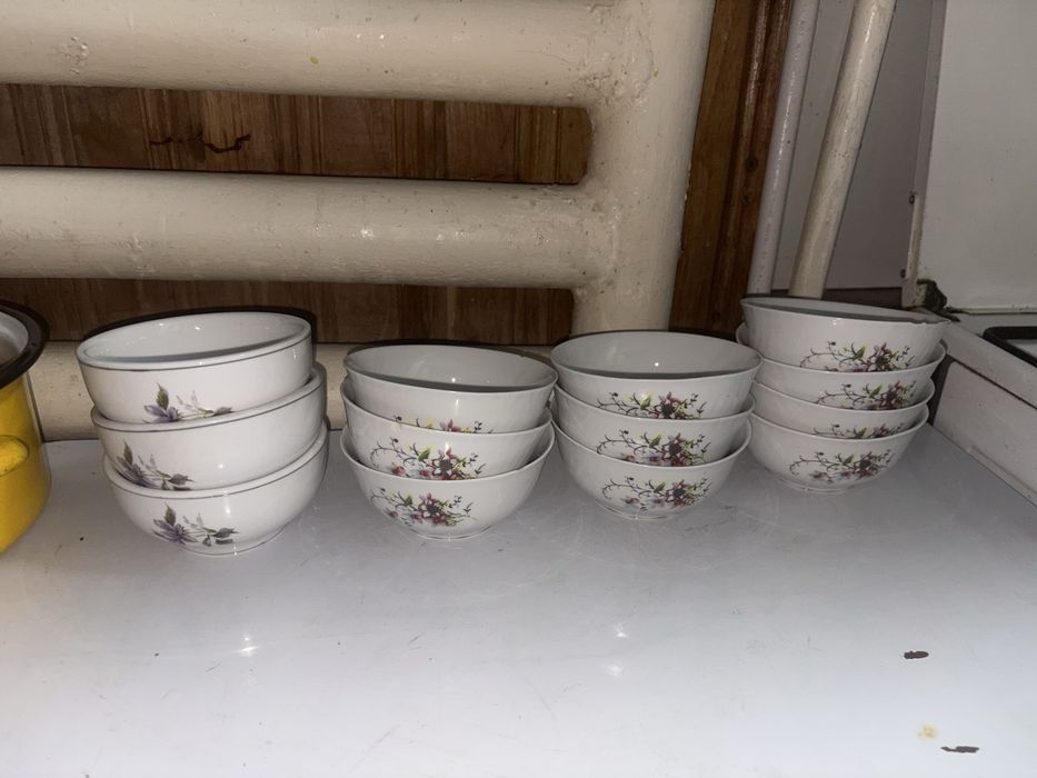 Vand oale plus castroane 80 lei