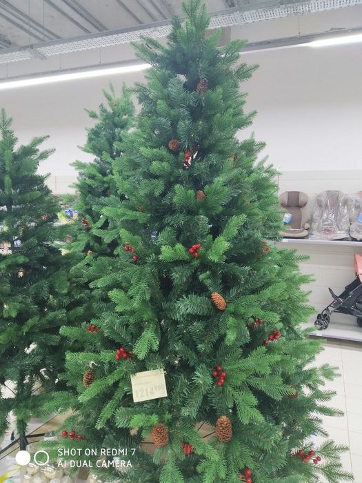 Ёлка премиум класса без снега