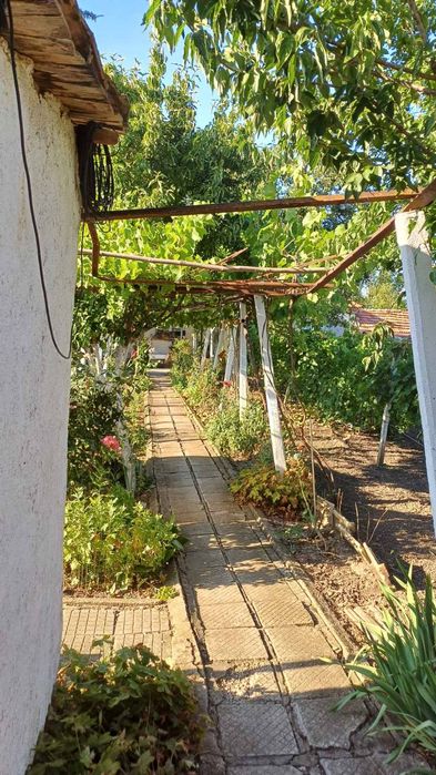 Продава се Къща в Плиска - 1600 кв.м за 26 €/кв.м - Снимка #9