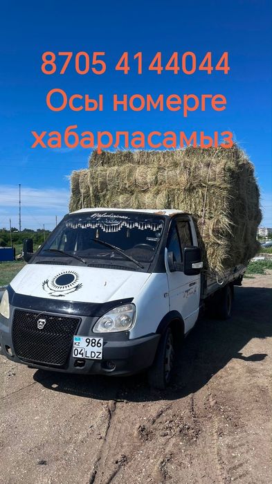 Шоп Сатылады 800 тенге