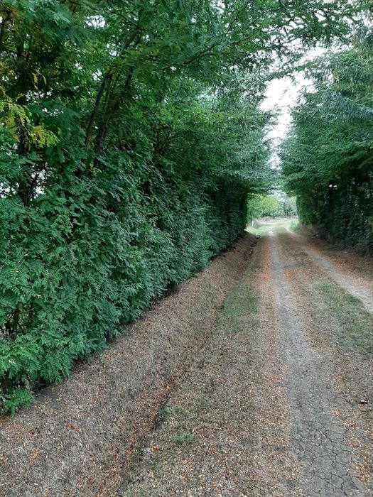 Teren str Casa Apelor