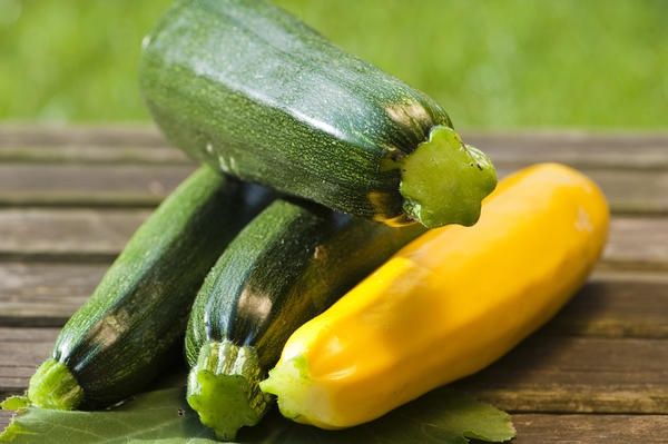 Продам домашние кабачки