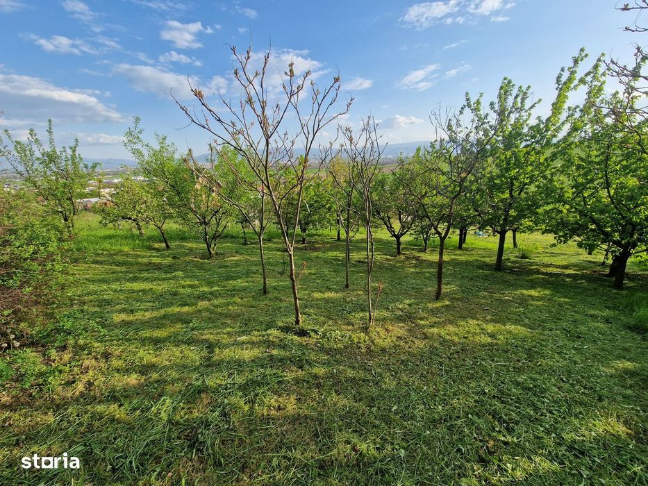 Teren intravilan 1250 mp cu priveliște superbă - Sura Mare