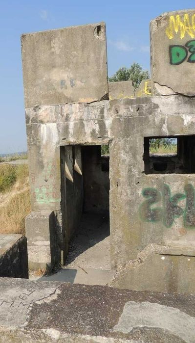 Teren Unic 1.000 mp cu Cazemantă Germană WW2 – Dealul Sângeriș, Moreni