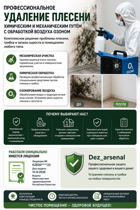 Профессиональное устранение плесени