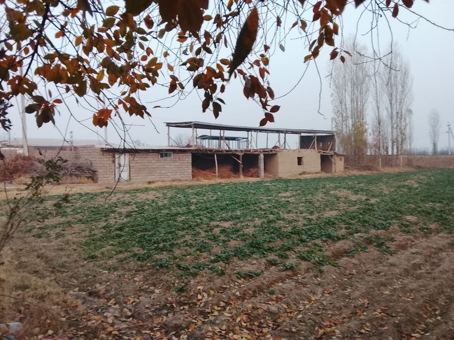 Йол устидан 8 сотих йеримиза сотуга чикти