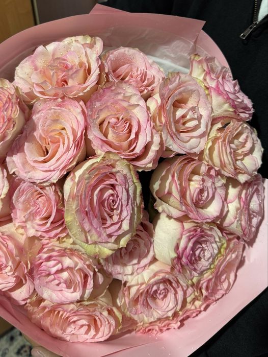 Продаю цветы свежый))