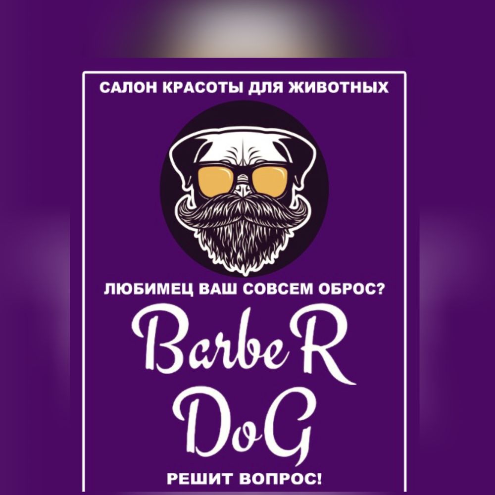 Barber DoG” Салон красоты для животных - Услуги для животных Ташкент на Olx