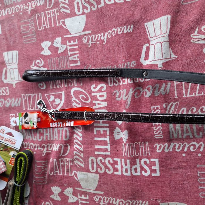 Accesorii catei, zgarda