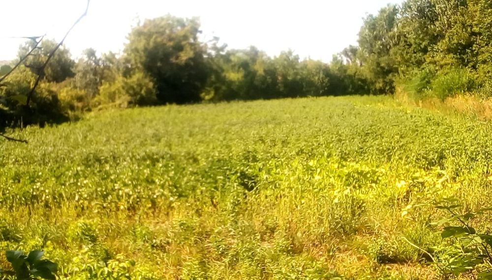 Продам дом в с. Коныр