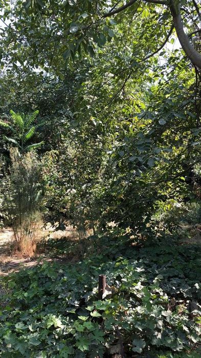 Продаётся частный дом, 6 соток земли, район Телеграф (прокуратура)