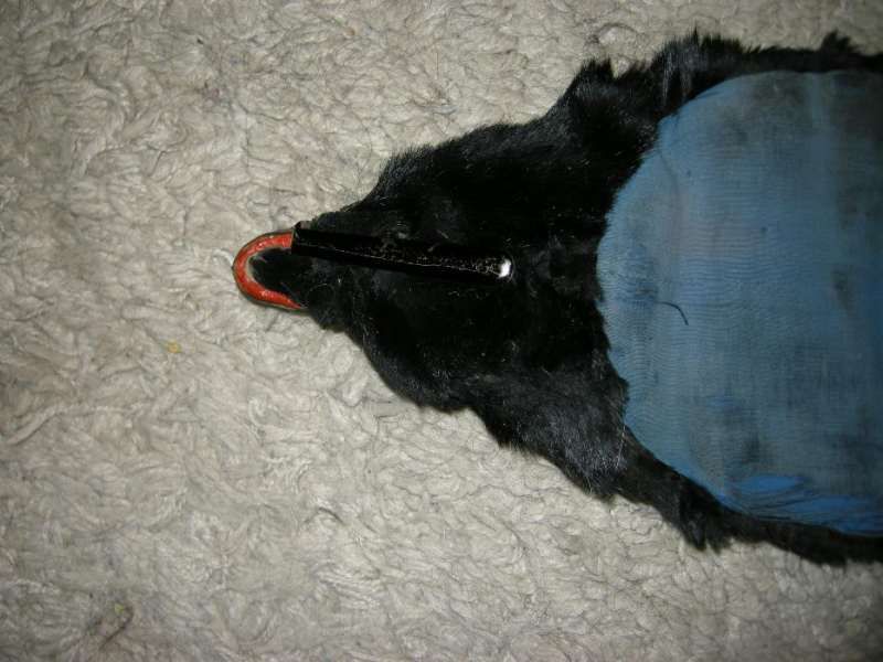 продавам яка от лисица - 2 бр