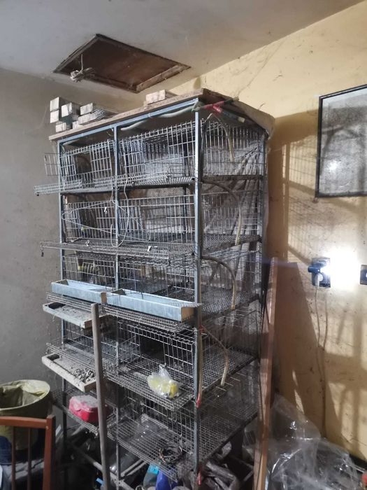 Custi SH Prepelite _ accesorii