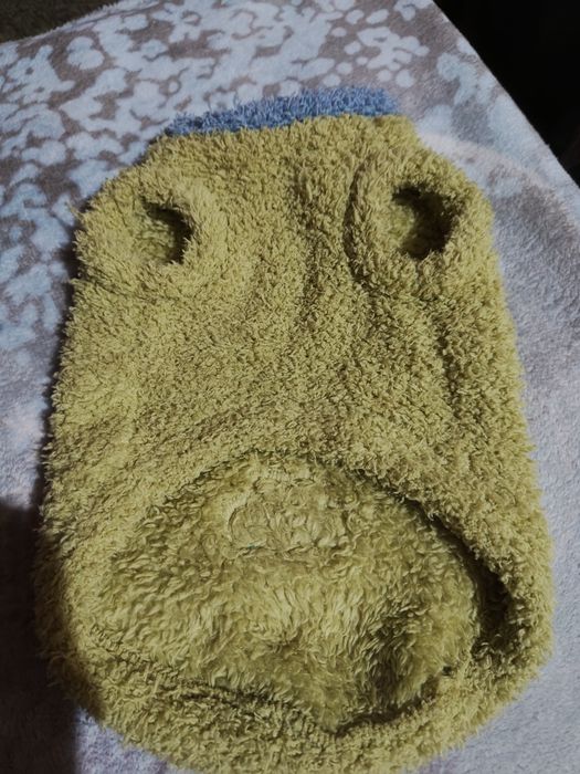 Одежда для кота или собачки