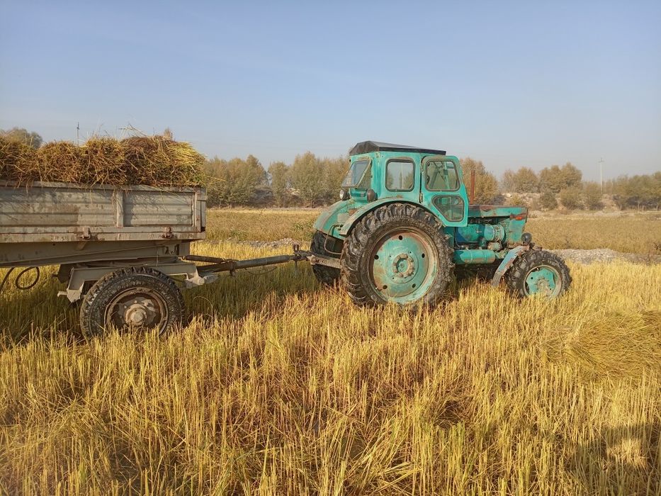 RADNOY T 40 Traktor sotiladi Andijonda